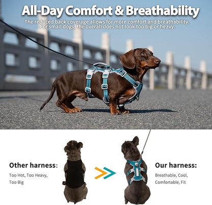 Huntboo Escape Proof Dog Harness, Escape Artist Harness, Fully Reflective Harness with Padded Handle, Breathable,Durable, Adjustable Vest for Medium Dogs Walking, Training, and Running Gear (Teal,XS)