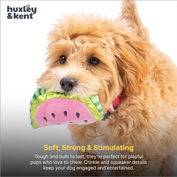 Huxley & Kent Funny Dog Toy w/Squeaker – Power Plush Squeaky Dog Toys for Small Dogs – Durable Small Stuffed Animal for Indoor Play & Fetch - Tiny Tuff Walter Melon