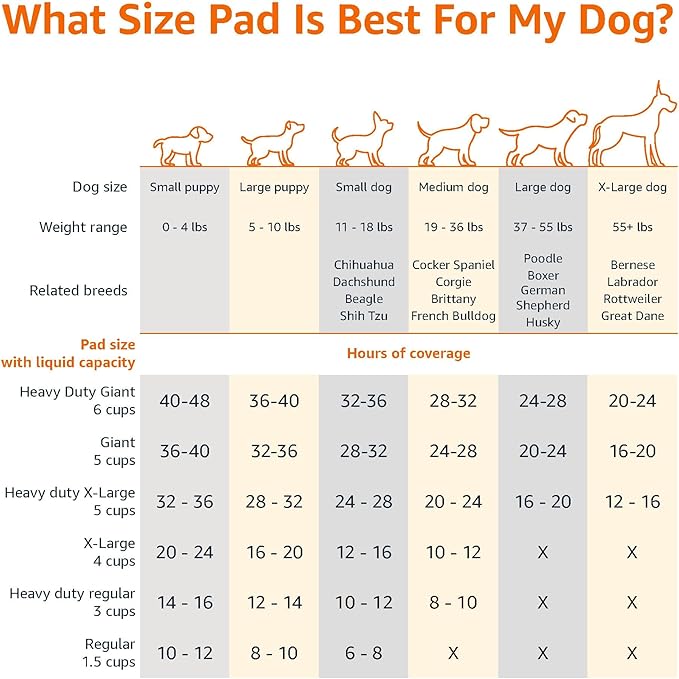 Amazon Basics Basic Disposable Dog Training Pads, Regular,30 Pack