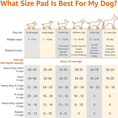 Amazon Basics Basic Disposable Dog Training Pads, Regular,30 Pack