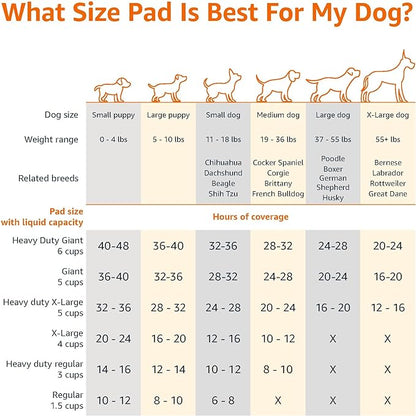 Amazon Basics Heavy Duty Dog and Puppy Pee Pads, 5-Layer Leak-Proof Ultra Absorbent, Quick-Dry Surface, Potty Training, Regular (24x23"), 50 Count, Blue & White