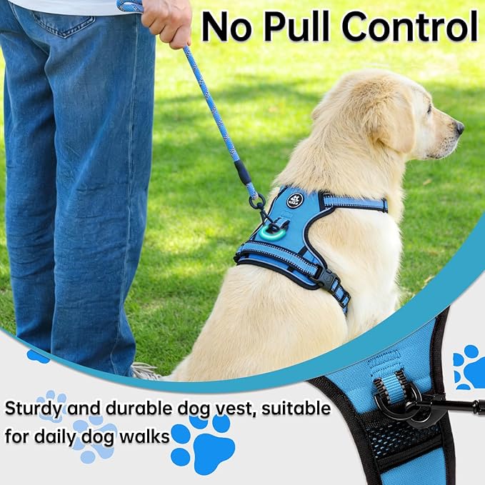 NESTROAD No Pull Dog Vest Harness with Leash, Adjustable Reflective Oxford Pet Harness with Easy Control Handle for Small Dogs, Blue