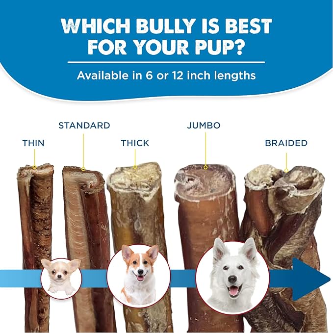 Best Bully Sticks 6 Inch Bully Sticks for Dogs - 15 Count (Pack of 1) - Natural, Easily Digestible, 100% Grass-Fed Beef, Grain and Rawhide Free