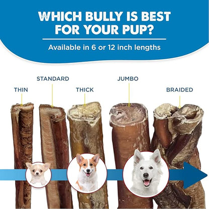 Best Bully Sticks 6 Inch Bully Sticks for Dogs - 15 Count (Pack of 1) - Natural, Easily Digestible, 100% Grass-Fed Beef, Grain and Rawhide Free