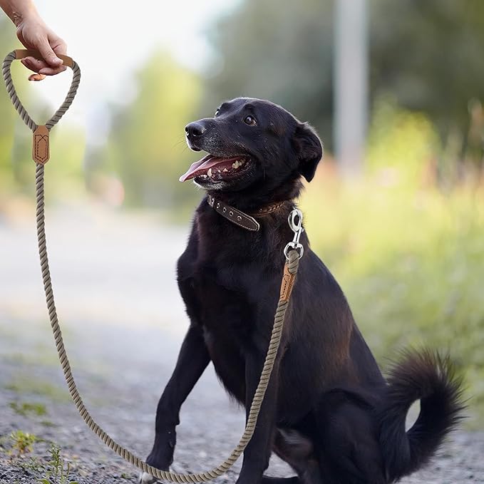 Mile High Life Dog Leash, Braided Cotton Rope Leashes with Leather Handle - Heavy Duty Metal Clasp, 5FT, 1/2" Thick - Wedding, Walking & Training Leash for Small Medium Large Dogs (Camel)
