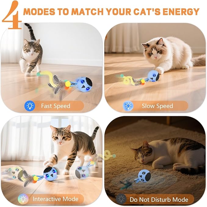 KiwiLove Cat Toys, Interactive Cat Toys for Indoor Cats, USB Rechargeable Electronic Smart Exercise Kitten Toy, Motion Chirping Activated Moving Ball (Blue)