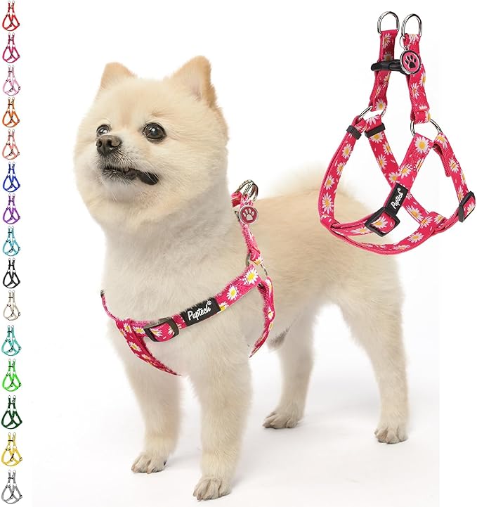 PUPTECK No Pull Dog Harness Soft Adjustable Basic Nylon Step in Puppy Vest Outdoor Walking with ID Tag, Fuchsia Daisy, XS