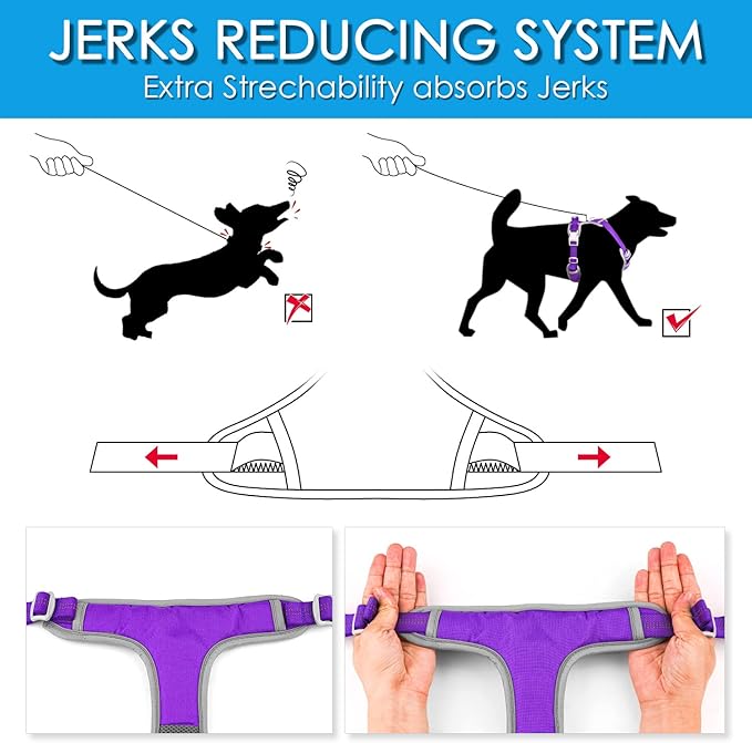 ThinkPet No Pull Harness Set Breathable Sport Harness with Handle - Reflective Padded Dog Safety Vest with Reflective Neon Dog Leash XL Harness Leash Pack Purple