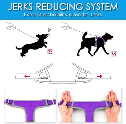 ThinkPet No Pull Harness Set Breathable Sport Harness with Handle - Reflective Padded Dog Safety Vest with Reflective Neon Dog Leash XL Harness Leash Pack Purple