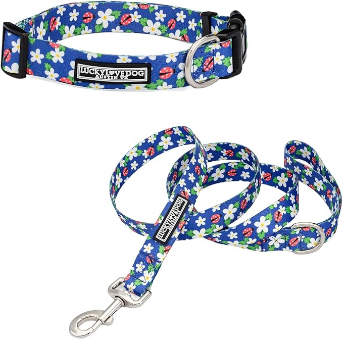 Lucky Love Dog - Easy Click Buckle Dog Collar with Leash Set Combo, Durable & Comfortable for Male & Female Dogs, Pet Collar for Large Dogs, Secure Fit - Lilian Combo, Large
