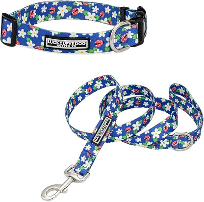Lucky Love Dog - Easy Click Buckle Dog Collar with Leash Set Combo, Durable & Comfortable for Male & Female Dogs, Pet Collar for Large Dogs, Secure Fit - Lilian Combo, Large