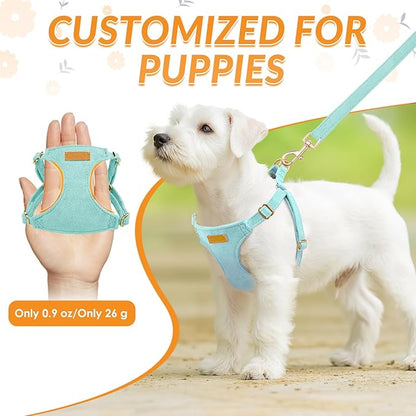 SlowTon Dog Harness Small Sized Dog - Soft XXS Dog Harness and Leash Set No Pull No Chock, Adjustable Lightweight Puppy Harness for XS Small Medium Dogs Cats (Solid Light Blue, XXS)