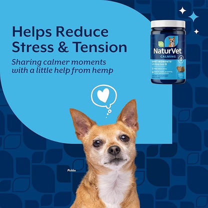 NaturVet Quiet Moments Plus Hemp Calming Aid Soft Chews for Dogs, Count of 60, 60 CT