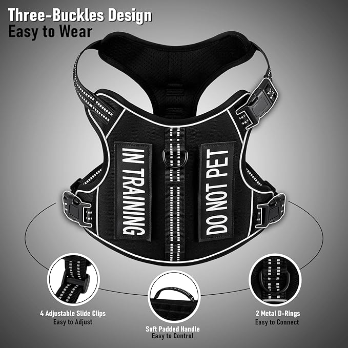 Extra Small Dog Harness, No-Pull Pet Harness with 2 Leash Clips, Adjustable Soft Padded Dog Vest, Reflective No-Choke Pet Oxford Vest with Easy Control Handle for XSmall Dog Breeds, Black, XS
