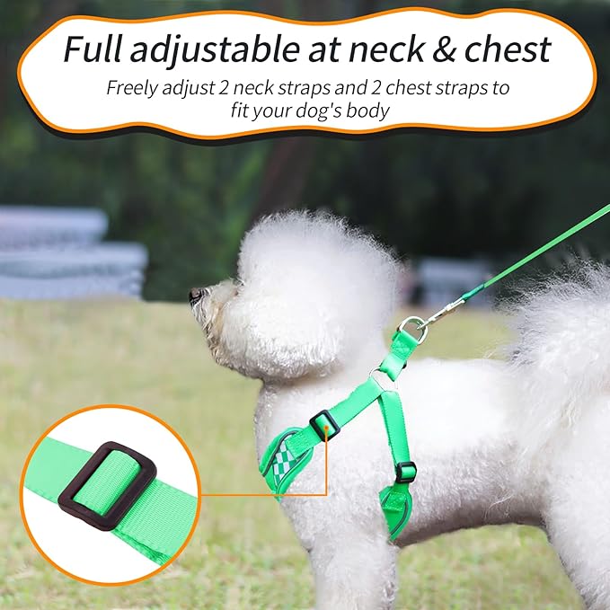Dog Harness with Leash, Soft No Pull Adjustable Step in Reflective Strips Vest Harness for Small Medium Dogs Walking and Running (S Green)