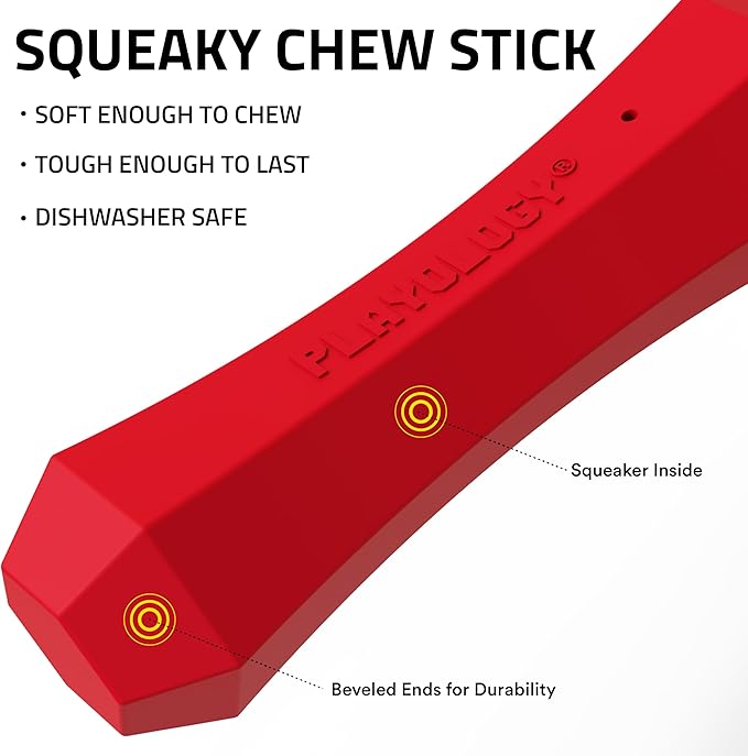 Playology Dog Toys | Durable Squeaky Chew Stick for Dogs | Medium Beef Scented Toy, Value 2-Pack - Easy to Clean and Made from Non Toxic Materials