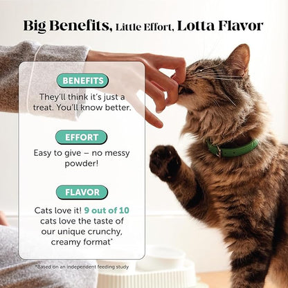 Cat Breath Freshener Dental Health Powder – Reduce Tartar & Plaque, Freshen Breath, and Support Bright Teeth with Natural Herbal Blend with Kelp & Parsley (60 Day Supply)