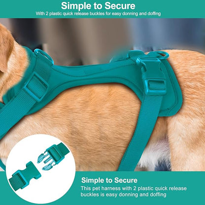 Wisedog No Pull Lightweight Dog Vest Harness with Soft and Comfortable Cushion, Breathable Mesh, for Small Medium Large Dogs Walking (XS(Neck: 7.48"-10.63";Chest: 10.63"-15.35"), Emerald Green)