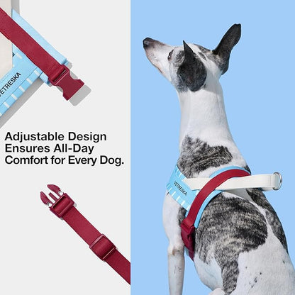 VETRESKA Dog Harness Small Sized Dog, Adjustable No Choke Puppy Harness No Pull, Easy Control Pet Harness Vest for Dogs, Cat, Kitten, Dog Harness with Anti-Tangle Dog Leash Set, Misty Melo XS