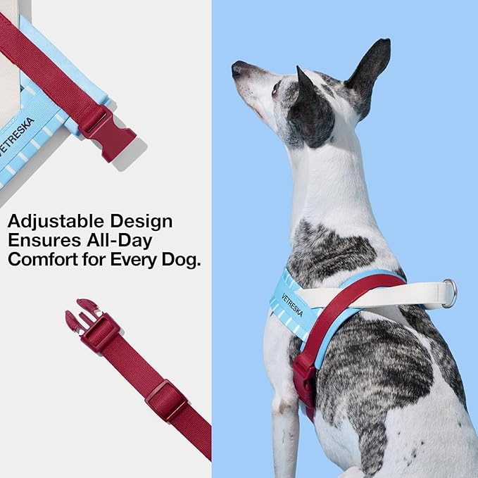 VETRESKA Dog Harness and Leash Set, Puppy Harness Adjustable, Easy Control No Choke Dog Harness for Small, Medium Dogs, Cats, Kitten, Dog Vest Harness with Anti-Tangle Leash, Misty Melo S