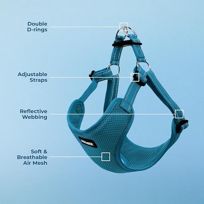 Best Pet Supplies Voyager Adjustable Step-in Flex Breathable Mesh Dog Harness for Small Medium Large Dogs (Turquoise), XL