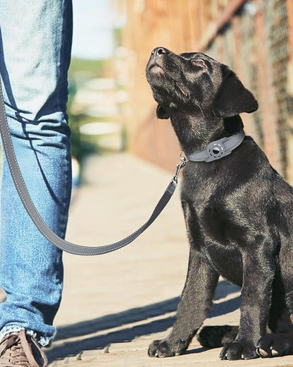 4FT Reflective Nylon Dog Leash with Soft Padded Handle for Walking, Running and Training, Supports Small Medium and Large Dogs (Grey, 1 Inch Wide)