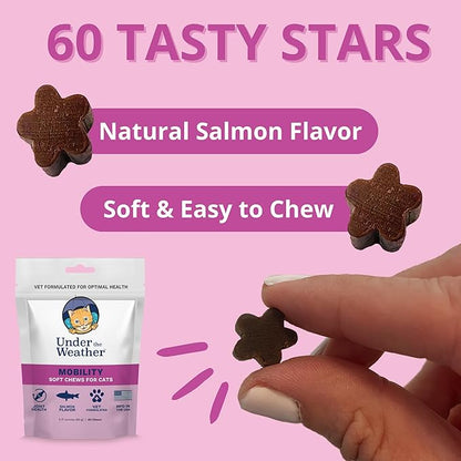 undertheweatherpet Mobility Chews for Cats | Helps in Preventing Joint Issues | for Aging Cats Becoming Less Active | 60 Star Shaped Soft Chews