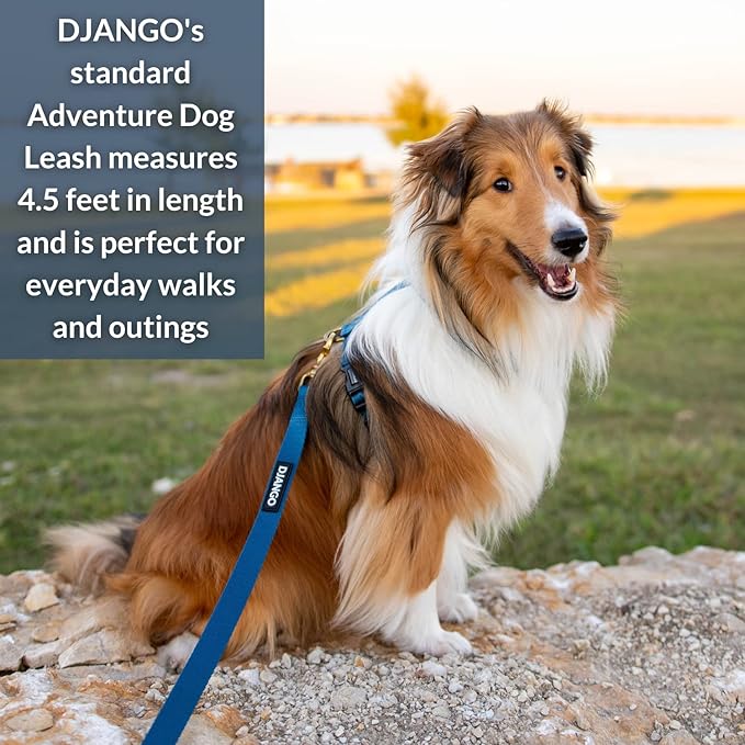 DJANGO Adventure Dog Leash – Strong, Comfortable, and Stylish Dog Leash with Solid Brass Hardware and Padded Handle - Designed for Outdoor Adventures and Everyday Use (Indigo Blue)
