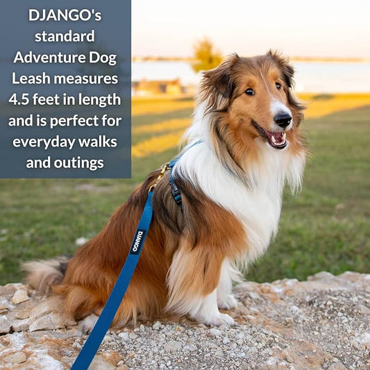 DJANGO Adventure Dog Leash – Strong, Comfortable, and Stylish Dog Leash with Solid Brass Hardware and Padded Handle - Designed for Outdoor Adventures and Everyday Use (Indigo Blue)