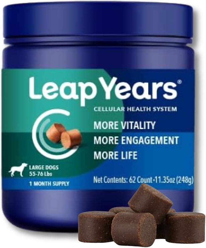 Leap Years Soft Chew Dog Health Supplement – Dog Cognitive Supplement, Supports Longevity of Your Pet, Brain, Heart & Muscle; Powerful NAD for Dogs + Senolytic Formula, Vet-Formulated, Large Breed