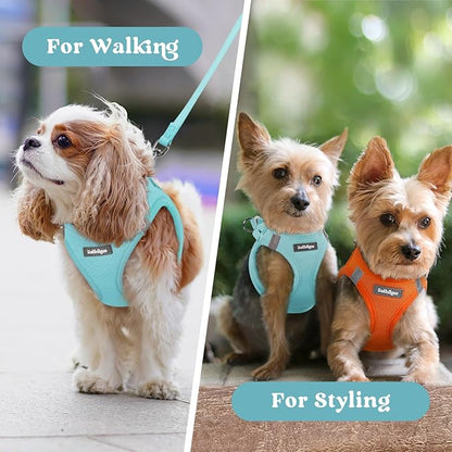 rabbitgoo Small Dog Harness, Step-in Soft Mesh Puppy Vest with Safety Buckle, Breathable Reflective Pet Harness for Small Sized Dogs, Mint Blue XS