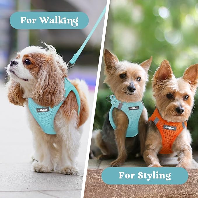 rabbitgoo Small Dog Harness, Step-in Soft Mesh Puppy Vest with Safety Buckle, Breathable Reflective Pet Harness for Extra Small Dogs, Mint Blue XXS