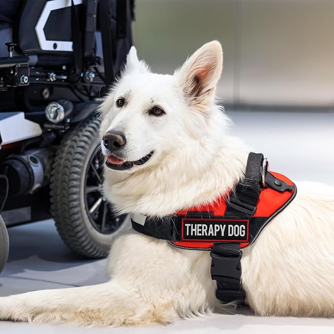 FITZNORA 2 Pcs Reflective Therapy Dog Patch Set with Hook and Loop Fastener, Embroidered Border with Printed Letters Patch for Dog Vest Harness Collar (4.7 x 1.5 inches)