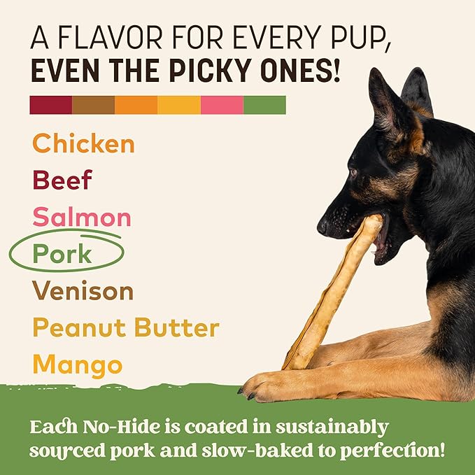 Earth Animal No Hide Chews - Long Lasting Rawhide Free Large Dog Chews Rolls, Pork - 2 Count