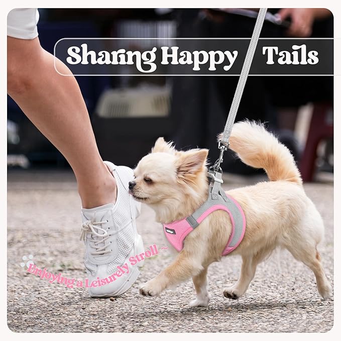 rabbitgoo Dog Harness Small Sized and Leash Set, Step in Soft Light Puppy Vest, Breathable Mesh Pet Harness, Reflective for Safe Easy Walking, Pink & Gray XS
