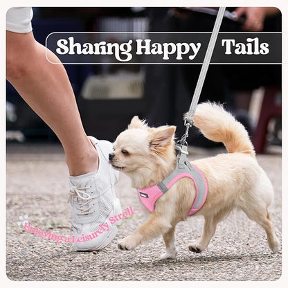 rabbitgoo Dog Harness Small Medium Sized and Leash Set, Step in Soft Light Puppy Vest, Breathable Mesh Pet Harness, Reflective for Safe Easy Walking, Pink & Gray L