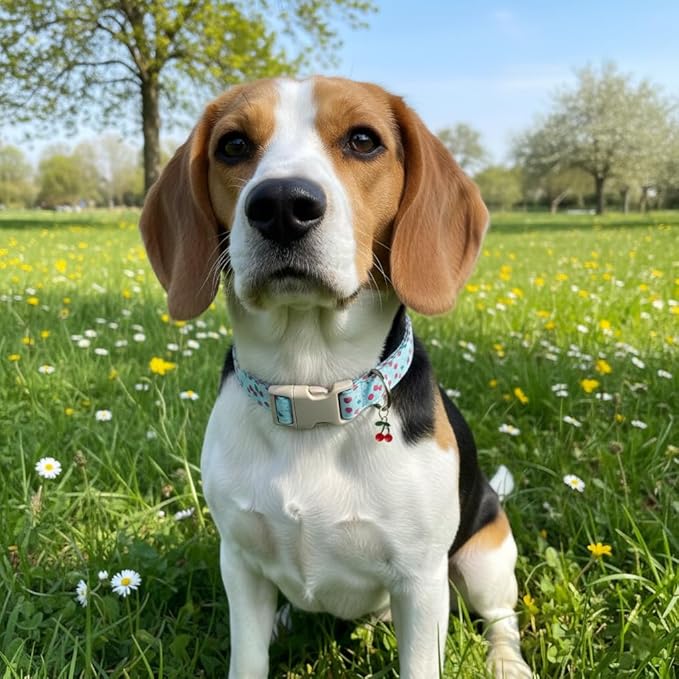 Dog Collar, Cherry Pattern Dog Collar for Spring Summer, Small Dog Collar, S