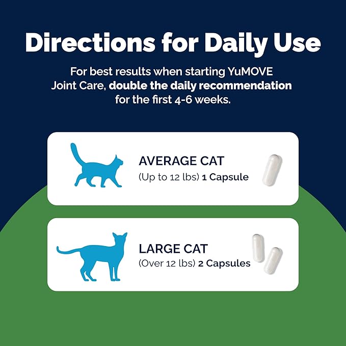 YuMOVE Cat Joint Supplement with Glucosamine,Chondroitin, Omega 3, Hyaluronic Acid, & Green Lipped Mussel - Joint Support Supplement - for Senior Cats 60 Capsules