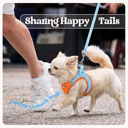 rabbitgoo Dog Harness Small Sized and Leash Set, Step in Soft Light Puppy Vest, Breathable Mesh Pet Harness, Reflective for Safe Easy Walking, Blue & Orange XS