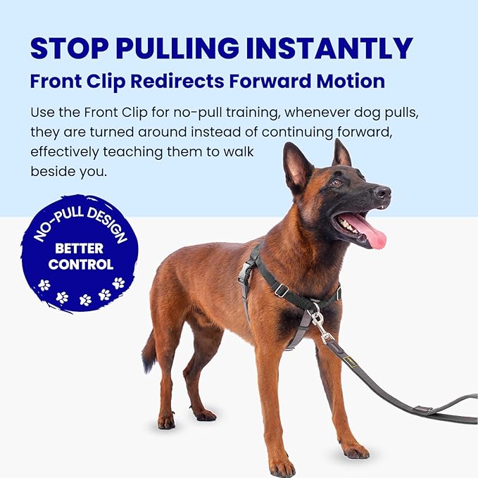 Freedom No Pull Dog Harness, Front Clip, Easy Walk, Dog Friendly with 2 Stainless D-Rings, Sewn-in Instructions Tags for Easy Use, for Large Dogs Weight 60-80 lbs (Black, L)