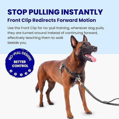 Freedom No Pull Dog Harness for Large Dogs, Easy Walker, Anti Pull with Two Stainless D-Rings, Comfortable, Sewn-in Instructions Tags for Easy Use (Black, XL)