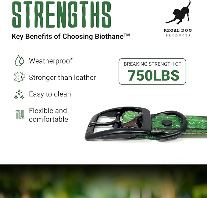 Regal Dog Products Waterproof Green Camo Hunting Dog Collar with Black Hardware | for Small, Medium, Large, or XL Dogs (Large)