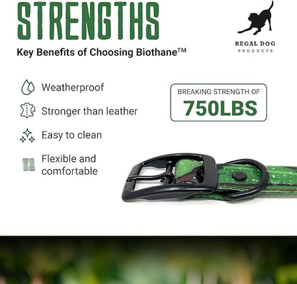 Regal Dog Products Waterproof Green Camo Hunting Dog Collar with Black Hardware | for Small, Medium, Large, or XL Dogs (Medium)