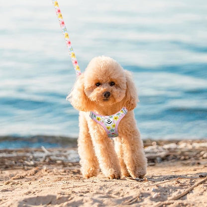 EXPAWLORER Small Dog Harness and Leash Set - Cute Puppy Harness Leash Dog Collar with AirTag Holder Silicone Case, Soft Padded Step in Pet Vest Reflective for Outdoor Walking, Floral M