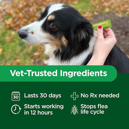 TevraPet Activate II Flea and Tick Prevention for Dogs | 4 Count | Small Dogs 4-10 lbs | Topical Drops | 4 Months Flea Treatment