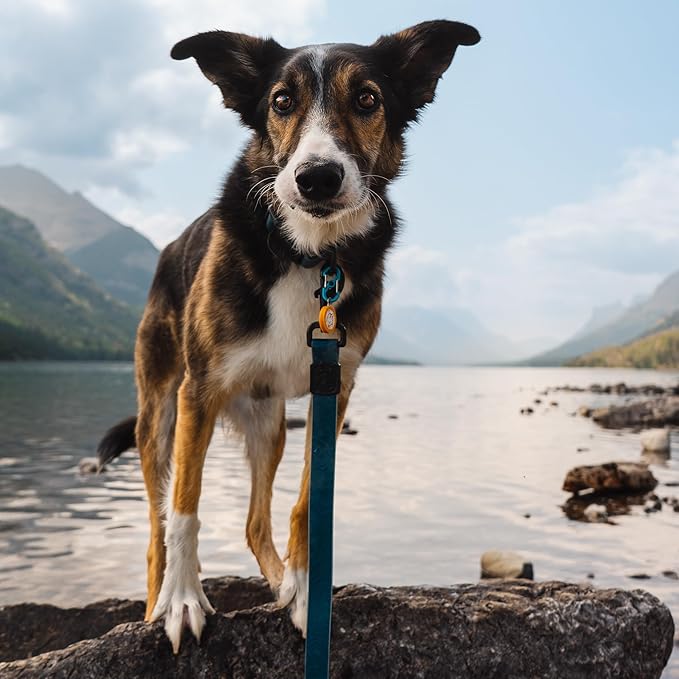 Wilderdog Waterproof Dog Leash - Repels Water & Dirt - Pacific Blue
