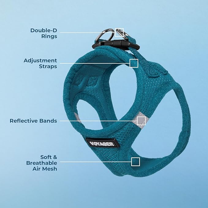 Best Pet Supplies Voyager Step-in Air Harness - All Weather Mesh, Reflective, No Pull Harness for Dogs, Cats - Secure with Hook & Loop Fastener, Buckle, Double D-Rings - Turquoise, M