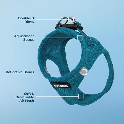 Best Pet Supplies Voyager Step-in Air Harness - All Weather Mesh, Reflective, No Pull Harness for Dogs, Cats - Secure with Hook & Loop Fastener, Buckle, Double D-Rings - Turquoise, M