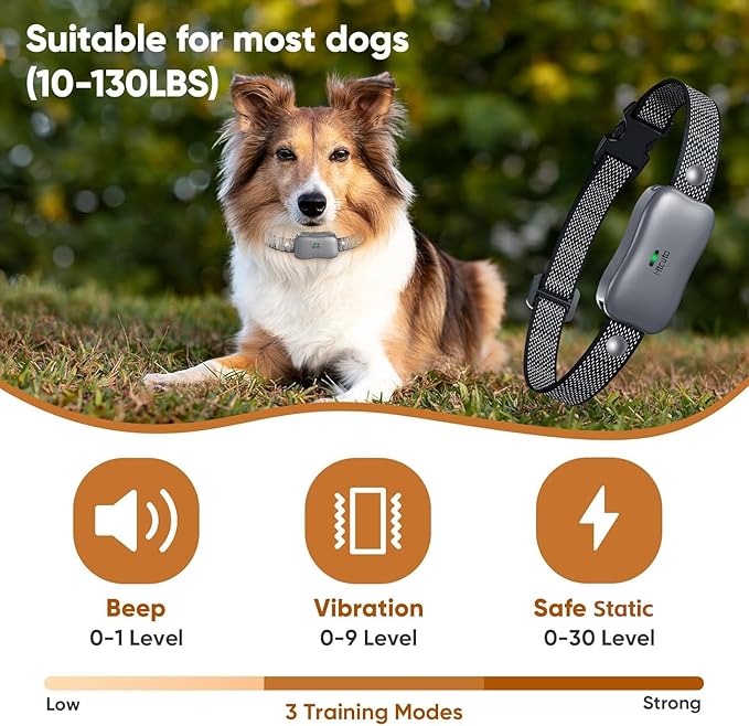 Htcuto 3500 Ft Wireless Dog Fence with 6100Ft Training Remote Collar, 185 Day Battery Rechargeable Electric Fence System, IPX7 Water Resistant, Use for Dogs*Grey