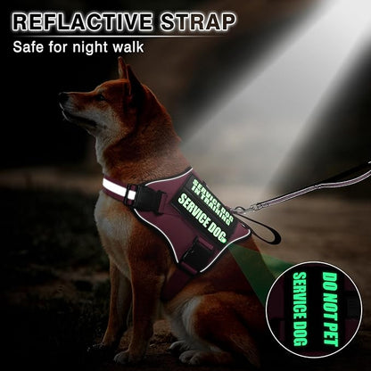 Service Dog Vest Harness and Leash Set+10 Patches,No Pull&Easy Walk Reflective Dog Harness with Soft Padded Handle for Training/Everyday,Fit Small/Medium/Large/Extra-Large Dogs (Pink XL)